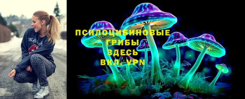 Галлюциногенные грибы Psilocybine cubensis  KRAKEN зеркало  Агрыз 